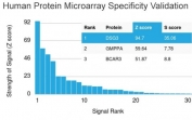 Analysis of HuProt(TM) microarray containing more than 19,000 full-length human proteins using Desmoglein 3 antibody (clone DSG3/2837). These results demonstrate the foremost specificity of the DSG3/2837 mAb. Z- and S- score: The Z-score represents the strength of a signal that an antibody (in combination with a fluorescently-tagged anti-IgG secondary Ab) produces when binding to a particular protein on the HuProt(TM) array. Z-scores are described in units of standard deviations (SD's) above the mean value of all signals generated on that array. If the targets on the HuProt(TM) are arranged in descending order of the Z-score, the S-score is the difference (also in units of SD's) between the Z-scores. The S-score therefore represents the relative target specificity of an Ab to its intended target.