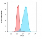 Flow cytometry testing of human MCF7 cells with EpCAM antibody (clone Ber-EP4); Red=isotype control, Blue= EpCAM antibody.