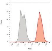 Flow cytometry testing of human MCF7 cells with EpCAM antibody (clone HEA125); Gray=isotype control, Red= CF640-labeled EpCAM antibody.