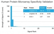 Analysis of HuProt(TM) microarray containing more than 19,000 full-length human proteins using Uroplakin 1A antibody (clone UPK1A/2925). These results demonstrate the foremost specificity of the UPK1A/2925 mAb. Z- and S- score: The Z-score represents the strength of a signal that an antibody (in combination with a fluorescently-tagged anti-IgG secondary Ab) produces when binding to a particular protein on the HuProt(TM) array. Z-scores are described in units of standard deviations (SD's) above the mean value of all signals generated on that array. If the targets on the HuProt(TM) are arranged in descending order of the Z-score, the S-score is the difference (also in units of SD's) between the Z-scores. The S-score therefore represents the relative target specificity of an Ab to its intended target.