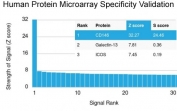 Analysis of HuProt(TM) microarray containing more than 19,000 full-length human proteins using MCAM antibody (clone MCAM/3048). These results demonstrate the foremost specificity of the MCAM/3048 mAb.<BR>Z- and S- score: The Z-score represents the strength of a signal that an antibody (in combination with a fluorescently-tagged anti-IgG secondary Ab) produces when binding to a particular protein on the HuProt(TM) array. Z-scores are described in units of standard deviations (SD's) above the mean value of all signals generated on that array. If the targets on the HuProt(TM) are arranged in descending order of the Z-score, the S-score is the difference (also in units of SD's) between the Z-scores. The S-score therefore represents the relative target specificity of an Ab to its intended target.