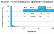 Analysis of HuProt(TM) microarray containing more than 19,000 full-length human proteins using MCAM antibody (clone MCAM/3046). These results demonstrate the foremost specificity of the MCAM/3046 mAb. Z- and S- score: The Z-score represents the strength of a signal that an antibody (in combination with a fluorescently-tagged anti-IgG secondary Ab) produces when binding to a particular protein on the HuProt(TM) array. Z-scores are described in units of standard deviations (SD's) above the mean value of all signals generated on that array. If the targets on the HuProt(TM) are arranged in descending order of the Z-score, the S-score is the difference (also in units of SD's) between the Z-scores. The S-score therefore represents the relative target specificity of an Ab to its intended target.