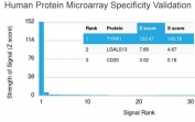 Analysis of HuProt(TM) microarray containing more than 19,000 full-length human proteins using TRP1 antibody (clone TYRP1/3282). These results demonstrate the foremost specificity of the TYRP1/3282 mAb. Z- and S- score: The Z-score represents the strength of a signal that an antibody (in combination with a fluorescently-tagged anti-IgG secondary Ab) produces when binding to a particular protein on the HuProt(TM) array. Z-scores are described in units of standard deviations (SD's) above the mean value of all signals generated on that array. If the targets on the HuProt(TM) are arranged in descending order of the Z-score, the S-score is the difference (also in units of SD's) between the Z-scores. The S-score therefore represents the relative target specificity of an Ab to its intended target.