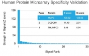 Analysis of HuProt(TM) microarray containing more than 19,000 full-length human proteins using MMP3 antibody (clone MMP3/2806). These results demonstrate the foremost specificity of the MMP3/2806 mAb. Z- and S- score: The Z-score represents the strength of a signal that an antibody (in combination with a fluorescently-tagged anti-IgG secondary Ab) produces when binding to a particular protein on the HuProt(TM) array. Z-scores are described in units of standard deviations (SD's) above the mean value of all signals generated on that array. If the targets on the HuProt(TM) are arranged in descending order of the Z-score, the S-score is the difference (also in units of SD's) between the Z-scores. The S-score therefore represents the relative target specificity of an Ab to its intended target.