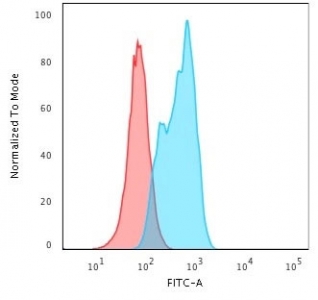 Flow cytometry testing of permeabilized human A549 cells with MSH2 antibody; Red=isotype control, Blue= MSH2 antibody.