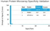 Analysis of HuProt(TM) microarray containing more than 19,000 full-length human proteins using NKX3.1 antibody (clone NKX3.1/2836). These results demonstrate the foremost specificity of the NKX3.1/2836 mAb. Z- and S- score: The Z-score represents the strength of a signal that an antibody (in combination with a fluorescently-tagged anti-IgG secondary Ab) produces when binding to a particular protein on the HuProt(TM) array. Z-scores are described in units of standard deviations (SD's) above the mean value of all signals generated on that array. If the targets on the HuProt(TM) are arranged in descending order of the Z-score, the S-score is the difference (also in units of SD's) between the Z-scores. The S-score therefore represents the relative target specificity of an Ab to its intended target.