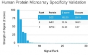 Analysis of HuProt(TM) microarray containing more than 19,000 full-length human proteins using CD31 antibody (clone PECAM1/3530). These results demonstrate the foremost specificity of the PECAM1/3530 mAb. Z- and S- score: The Z-score represents the strength of a signal that an antibody (in combination with a fluorescently-tagged anti-IgG secondary Ab) produces when binding to a particular protein on the HuProt(TM) array. Z-scores are described in units of standard deviations (SD's) above the mean value of all signals generated on that array. If the targets on the HuProt(TM) are arranged in descending order of the Z-score, the S-score is the difference (also in units of SD's) between the Z-scores. The S-score therefore represents the relative target specificity of an Ab to its intended target.