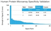 Analysis of HuProt(TM) microarray containing more than 19,000 full-length human proteins using PD-L1 antibody (clone PDL1/2745). These results demonstrate the foremost specificity of the PDL1/2745 mAb. Z- and S- score: The Z-score represents the strength of a signal that an antibody (in combination with a fluorescently-tagged anti-IgG secondary Ab) produces when binding to a particular protein on the HuProt(TM) array. Z-scores are described in units of standard deviations (SD's) above the mean value of all signals generated on that array. If the targets on the HuProt(TM) are arranged in descending order of the Z-score, the S-score is the difference (also in units of SD's) between the Z-scores. The S-score therefore represents the relative target specificity of an Ab to its intended target.