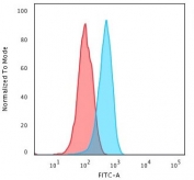 Flow cytometry testing of PFA-fixed human HeLa cells with recombinant Cytochrome C antibody (clone CYCS/3128R); Red=isotype control, Blue= recombinant Cytochrome C antibody.