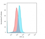 Flow cytometry testing of human Jurkat cells with CD45RA antibody (clone K4B5); Red=isotype control, Blue= CD45RA antibody.