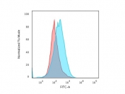 Flow cytometry testing of PFA-fixed human Raji cells with recombinant CD45R antibody (clone rPTPRC/1460); Red=isotype control, Blue= recombinant CD45R antibody.