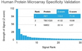 Analysis of HuProt(TM) microarray containing more than 19,000 full-length human proteins using RET antibody (clone RET/2662). These results demonstrate the foremost specificity of the RET/2662 mAb. Z- and S- score: The Z-score represents the strength of a signal that an antibody (in combination with a fluore