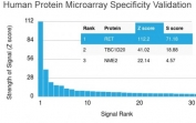 Analysis of HuProt(TM) microarray containing more than 19,000 full-length human proteins using RET antibody (clone RET/2662). These results demonstrate the foremost specificity of the RET/2662 mAb. Z- and S- score: The Z-score represents the strength of a signal that an antibody (in combination with a fluorescently-tagged anti-IgG secondary Ab) produces when binding to a particular protein on the HuProt(TM) array. Z-scores are described in units of standard deviations (SD's) above the mean value of all signals generated on that array. If the targets on the HuProt(TM) are arranged in descending order of the Z-score, the S-score is the difference (also in units of SD's) between the Z-scores. The S-score therefore represents the relative target specificity of an Ab to its intended target.