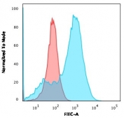 Flow cytometry testing of permeabilized human A549 cells with FSP1 antibody (clone rS100A4/1481); Red=isotype control, Blue= FSP1 antibody.