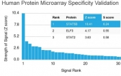 Analysis of HuProt(TM) microarray containing more than 19,000 full-length human proteins using STAT5b antibody (clone STAT5B/2657). These results demonstrate the foremost specificity of the STAT5B/2657 mAb. Z- and S- score: The Z-score represents the strength of a signal that an antibody (in combination with a fluorescently-tagged anti-IgG secondary Ab) produces when binding to a particular protein on the HuProt(TM) array. Z-scores are described in units of standard deviations (SD's) above the mean value of all signals generated on that array. If the targets on the HuProt(TM) are arranged in descending order of the Z-score, the S-score is the difference (also in units of SD's) between the Z-scores. The S-score therefore represents the relative target specificity of an Ab to its intended target.