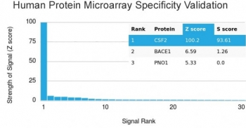 Analysis of HuProt(TM) microarray containing more than 19,000 full-length human proteins using GM-CSF antibody (clone CSF2/3402). These results demonstrate the foremost specificity of the CSF2/3402 mAb.<BR>Z- and S- score: The Z-score represents the strength of a signal that an antibody (in combination with a fluorescently-tagged anti-IgG secondary Ab) produces when binding to a particular protein on the HuProt(TM) array. Z-scores are described in units of standard deviations (SD's) above the mean value of all signals generated on that array. If the targets on the HuProt(TM) are arranged in descending order of the Z-score, the S-score is the difference (also in units of SD's) between the Z-scores. The S-score therefore represents the relative target specificity of an Ab to its intended target.