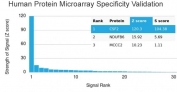 Analysis of HuProt(TM) microarray containing more than 19,000 full-length human proteins using GMCSF antibody (clone CSF2/3403). These results demonstrate the foremost specificity of the CSF2/3403 mAb. Z- and S- score: The Z-score represents the strength of a signal that an antibody (in combination with a fluorescently-tagged anti-IgG secondary Ab) produces when binding to a particular protein on the HuProt(TM) array. Z-scores are described in units of standard deviations (SD's) above the mean value of all signals generated on that array. If the targets on the HuProt(TM) are arranged in descending order of the Z-score, the S-score is the difference (also in units of SD's) between the Z-scores. The S-score therefore represents the relative target specificity of an Ab to its intended target.
