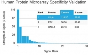Analysis of HuProt(TM) microarray containing more than 19,000 full-length human proteins using C1QA antibody (clone C1QA/2955). These results demonstrate the foremost specificity of the C1QA/2955 mAb. Z- and S- score: The Z-score represents the strength of a signal that an antibody (in combination with a fluorescently-tagged anti-IgG secondary Ab) produces when binding to a particular protein on the HuProt(TM) array. Z-scores are described in units of standard deviations (SD's) above the mean value of all signals generated on that array. If the targets on the HuProt(TM) are arranged in descending order of the Z-score, the S-score is the difference (also in units of SD's) between the Z-scores. The S-score therefore represents the relative target specificity of an Ab to its intended target.