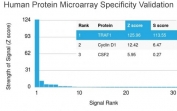 Analysis of HuProt(TM) microarray containing more than 19,000 full-length human proteins using TRAF1 antibody (clone TRAF1/3298). These results demonstrate the foremost specificity of the TRAF1/3298 mAb. Z- and S- score: The Z-score represents the strength of a signal that an antibody (in combination with a fluorescently-tagged anti-IgG secondary Ab) produces when binding to a particular protein on the HuProt(TM) array. Z-scores are described in units of standard deviations (SD's) above the mean value of all signals generated on that array. If the targets on the HuProt(TM) are arranged in descending order of the Z-score, the S-score is the difference (also in units of SD's) between the Z-scores. The S-score therefore represents the relative target specificity of an Ab to its intended target.