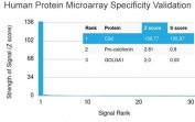 Analysis of HuProt(TM) microarray containing more than 19,000 full-length human proteins using Complement 3d antibody (clone C3D/2891). These results demonstrate the foremost specificity of the C3D/2891 mAb. Z- and S- score: The Z-score represents the strength of a signal that an antibody (in combination with a fluorescently-tagged anti-IgG secondary Ab) produces when binding to a particular protein on the HuProt(TM) array. Z-scores are described in units of standard deviations (SD's) above the mean value of all signals generated on that array. If the targets on the HuProt(TM) are arranged in descending order of the Z-score, the S-score is the difference (also in units of SD's) between the Z-scores. The S-score therefore represents the relative target specificity of an Ab to its intended target.