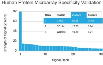 Analysis of HuProt(TM) microarray containing more than