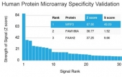 Analysis of HuProt(TM) microarray containing more than 19,000 full-length human proteins using MRP3 antibody (clone ABCC3/2971). These results demonstrate the foremost specificity of the ABCC3/2971 mAb. Z- and S- score: The Z-score represents the strength of a signal that an antibody (in combination with a fluorescently-tagged anti-IgG secondary Ab) produces when binding to a particular protein on the HuProt(TM) array. Z-scores are described in units of standard deviations (SD's) above the mean value of all signals generated on that array. If the targets on the HuProt(TM) are arranged in descending order of the Z-score, the S-score is the difference (also in units of SD's) between the Z-scores. The S-score therefore represents the relative target specificity of an Ab to its intended target.
