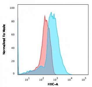 Flow cytometry testing of PFA-fixed human 293 cells with CD137L antibody; Red=isotype control, Blue= CD137L antibody.