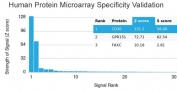 Analysis of HuProt(TM) microarray containing more than 19,000 full-length human proteins using recombinant CD3e antibody (clone rC3e/1931). These results demonstrate the foremost specificity of the rC3e/1931 mAb. Z- and S- score: The Z-score represents the strength of a signal that an antibody (in combination with a fluorescently-tagged anti-IgG secondary Ab) produces when binding to a particular protein on the HuProt(TM) array. Z-scores are described in units of standard deviations (SD's) above the mean value of all signals generated on that array. If the targets on the HuProt(TM) are arranged in descending order of the Z-score, the S-score is the difference (also in units of SD's) between the Z-scores. The S-score therefore represents the relative target specificity of an Ab to its intended target.