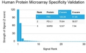 Analysis of HuProt(TM) microarray containing more than 19,000 full-length human proteins using Fibronectin antibody (clone FN1/2950). These results demonstrate the foremost specificity of the FN1/2950 mAb. Z- and S- score: The Z-score represents the strength of a signal that an antibody (in combination with a fluorescently-tagged anti-IgG secondary Ab) produces when binding to a particular protein on the HuProt(TM) array. Z-scores are described in units of standard deviations (SD's) above the mean value of all signals generated on that array. If the targets on the HuProt(TM) are arranged in descending order of the Z-score, the S-score is the difference (also in units of SD's) between the Z-scores. The S-score therefore represents the relative target specificity of an Ab to its intended target.
