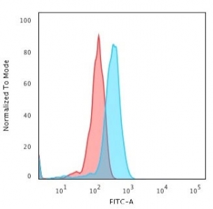 Flow cytometry testing of human Jurkat cells with CD8a antibody (clone UCHT4); Red=isotype control, Blue= CD8a antibody.~