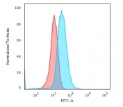 Flow cytometry testing of human Raji cells with CD19 antibody (clone CD19/3116); Red=isotype control, Blue= CD19 antibody.