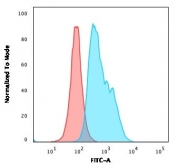 Flow cytometry testing of human Ramos cells with CD22 antibody (clone RFB4); Red=isotype control, Blue= CD22 antibody.