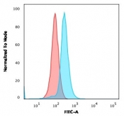 Flow cytometry testing of human Ramos cells with CD27 antibody (clone LPFS2/1611); Red=isotype control, Blue= CD27 antibody.