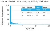 Analysis of HuProt(TM) microarray containing more than 19,000 full-length human proteins using CD63 antibody (clone LAMP3/2790). These results demonstrate the foremost specificity of the LAMP3/2790 mAb. Z- and S- score: The Z-score represents the strength of a signal that an antibody (in combination with a fluorescently-tagged anti-IgG secondary Ab) produces when binding to a particular protein on the HuProt(TM) array. Z-scores are described in units of standard deviations (SD's) above the mean value of all signals generated on that array. If the targets on the HuProt(TM) are arranged in descending order of the Z-score, the S-score is the difference (also in units of SD's) between the Z-scores. The S-score therefore represents the relative target specificity of an Ab to its intended target.