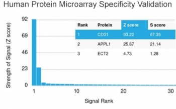Analysis of HuProt(TM) microarray containing more than 19,000 full-length human proteins using CD31 antibody (clone PECAM1/3527). These results demonstrate the foremost specificity of the PECAM1/3527 mAb. Z- and S- score: The Z-score represents the strength of a signal that an antibody (in combination with a fluorescently-tagged anti-IgG secondary Ab) produces when binding to a particular protein on the HuProt(TM) array. Z-scores are described in units of standard deviations (SD's) above the mean value of all signals generated on that array. If the targets on the HuProt(TM) are arranged in descending order of the Z-score, the S-score is the difference (also in units of SD's) between the Z-scores. The S-score therefore represents the relative target specificity of an Ab to its intended target.