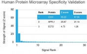 Analysis of HuProt(TM) microarray containing more than 19,000 full-length human proteins using CD31 antibody (clone PECAM1/3527). These results demonstrate the foremost specificity of the PECAM1/3527 mAb. Z- and S- score: The Z-score represents the strength of a signal that an antibody (in combination with a fluorescently-tagged anti-IgG secondary Ab) produces when binding to a particular protein on the HuProt(TM) array. Z-scores are described in units of standard deviations (SD's) above the mean value of all signals generated on that array. If the targets on the HuProt(TM) are arranged in descending order of the Z-score, the S-score is the difference (also in units of SD's) between the Z-scores. The S-score therefore represents the relative target specificity of an Ab to its intended target.