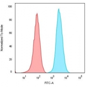 Flow cytometry testing of human Raji cells with recombinant CD74 antibody (clone CLIP/3127R); Red=isotype control, Blue= recombinant CD74 antibody.