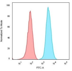 Flow cytometry testing of human Raji cells with recombinant CD74 antibody (clone CLIP/3127R); Red=isotype control, Blue= recombinant CD74 antibody.