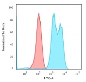 Flow cytometry testing of human Raji cells with CD79a antibody (clone ZL7-4); Red=isotype control, Blue= CD79a antibody.
