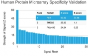 Analysis of HuProt(TM) microarray containing more than 19,000 full-length human proteins using c-RET antibody (clone RET/2795). These results demonstrate the foremost specificity of the RET/2795 mAb. Z- and S- score: The Z-score represents the strength of a signal that an antibody (in combination with a fluorescently-tagged anti-IgG secondary Ab) produces when binding to a particular protein on the HuProt(TM) array. Z-scores are described in units of standard deviations (SD's) above the mean value of all signals generated on that array. If the targets on the HuProt(TM) are arranged in descending order of the Z-score, the S-score is the difference (also in units of SD's) between the Z-scores. The S-score therefore represents the relative target specificity of an Ab to its intended target.