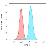 Flow cytometry testing of human Raji cells with recombinant Pan-HLA antibody (clone rHLA-Pan/3475); Red=isotype control, Blue= recombinant Pan-HLA antibody.