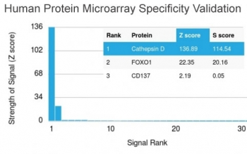 Analysis of HuProt(TM) microarray containing more than 19,000 full-length human proteins using CTSD antibody (clone CTSD/3275). These results demonstrate the foremost specificity of the CTSD/3275 mAb.<BR>Z- and S- score: The Z-score represents the strength of a signal that an antibody (in combination with a fluorescently-tagged anti-IgG secondary Ab) produces when binding to a particular protein on the HuProt(TM) array. Z-scores are described in units of standard deviations (SD's) above the mean value of all signals generated on that array. If the targets on the HuProt(TM) are arranged in descending order of the Z-score, the S-score is the difference (also in units of SD's) between the Z-scores. The S-score therefore represents the relative target specificity of an Ab to its intended target.