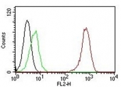 Flow Cytometry testing of Jurkat cells. Black: cells alone; Green: isotype control; Red: PE-labeled PECAM antibody (SPM122).