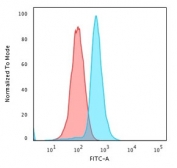Flow cytometry testing of PFA-fixed human K562 cells with BCL10 antibody (clone rBL10/411); Red=isotype control, Blue= BCL10 antibody.