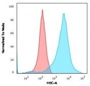 Flow cytometry testing of permeabilized human HEK293 cells with Neurofilament antibody cocktail (clone NF421 + NFL/736); Red=isotype control, Blue= Neurofilament antibody cocktail.
