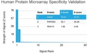 Analysis of HuProt(TM) microarray containing more than 19,000 full-length human proteins using OX40 antibody. These results demonstrate the foremost specificity of the OX40/2721 mAb. Z- and S- score: The Z-score represents the strength of a signal that an antibody (in combination with a fluorescently-tagged anti-IgG secondary Ab) produces when binding to a particular protein on the HuProt(TM) array. Z-scores are described in units of standard deviations (SD's) above the mean value of all signals generated on that array. If the targets on the HuProt(TM) are arranged in descending order of the Z-score, the S-score is the difference (also in units of SD's) between the Z-scores. The S-score therefore represents the relative target specificity of an Ab to its intended target.