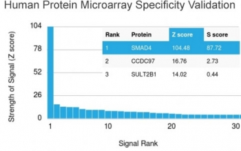 Analysis of HuProt(TM) microarray containing more
