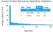 Analysis of HuProt(TM) microarray containing more than 19,000 full-length human proteins using Fibronectin antibody (clone FN1/3029). These results demonstrate the foremost specificity of the FN1/3029 mAb. Z- and S- score: The Z-score represents the strength of a signal that an antibody (in combination with a fluorescently-tagged anti-IgG secondary Ab) produces when binding to a particular protein on the HuProt(TM) array. Z-scores are described in units of standard deviations (SD's) above the mean value of all signals generated on that array. If the targets on the HuProt(TM) are arranged in descending order of the Z-score, the S-score is the difference (also in units of SD's) between the Z-scores. The S-score therefore represents the relative target specificity of an Ab to its intended target.