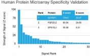 Analysis of HuProt(TM) microarray containing more than 19,000 full-length human proteins using SERBP1 antibody. These results demonstrate the foremost specificity of the SERBP1/3509 mAb. Z- and S- score: The Z-score represents the strength of a signal that an antibody (in combination with a fluorescently-tagged anti-IgG secondary Ab) produces when binding to a particular protein on the HuProt(TM) array. Z-scores are described in units of standard deviations (SD's) above the mean value of all signals generated on that array. If the targets on the HuProt(TM) are arranged in descending order of the Z-score, the S-score is the difference (also in units of SD's) between the Z-scores. The S-score therefore represents the relative target specificity of an Ab to its intended target.