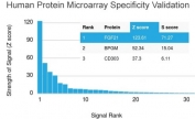 Analysis of HuProt(TM) microarray containing more than 19,000 full-length human proteins using FGF21 antibody (clone FGF21/3691). These results demonstrate the foremost specificity of the FGF21/3691 mAb. Z- and S- score: The Z-score represents the strength of a signal that an antibody (in combination with a fluorescently-tagged anti-IgG secondary Ab) produces when binding to a particular protein on the HuProt(TM) array. Z-scores are described in units of standard deviations (SD's) above the mean value of all signals generated on that array. If the targets on the HuProt(TM) are arranged in descending order of the Z-score, the S-score is the difference (also in units of SD's) between the Z-scores. The S-score therefore represents the relative target specificity of an Ab to its intended target.
